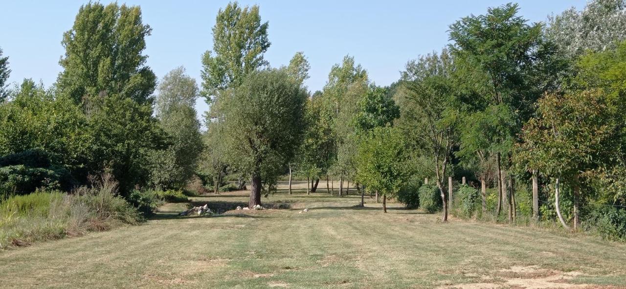 Vegvari Vendeghaz Magyarbóly Εξωτερικό φωτογραφία